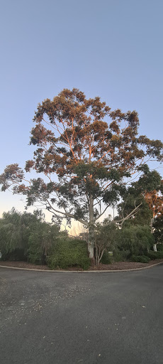 Chamberlain Circle Reserve Gallery - Australia