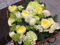 Natural Style +F ナチュラルスタイルプラスエフ