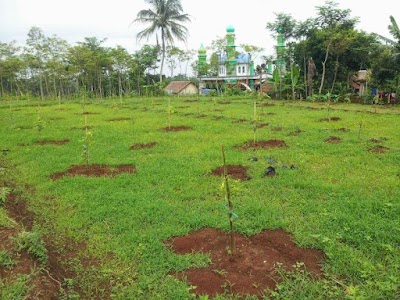 Photos of masjid baitul muttaqin