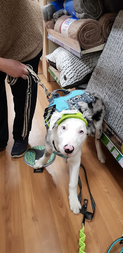Reviews of Pets at Home Aberdeen in Aberdeen - Shop