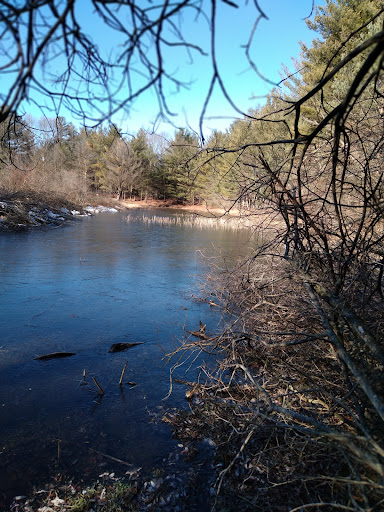 Henderson Lake Disc Golf Course - Thumbnail