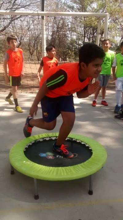 Photos of Municipal de Pinares 2 Park