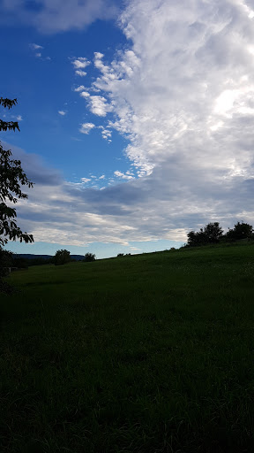 Robert-Bosch-Straße - Dettingen unter Teck