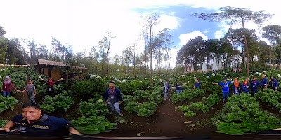 Photos of Taman Hortensia