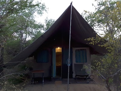 Photos of Yala Safari Jeep Tours sri lanka