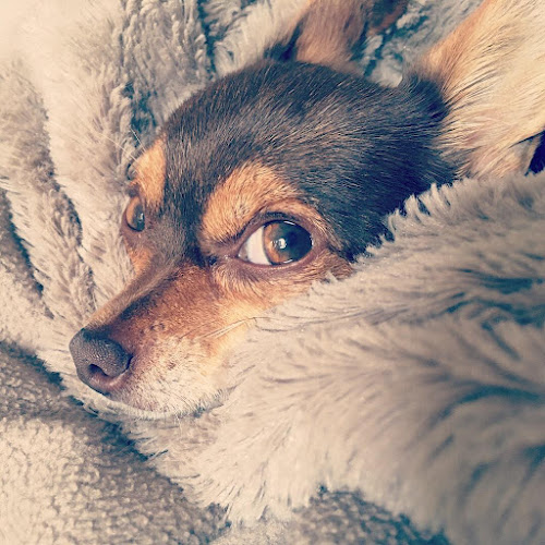 Fotolative Wiesbaden - Kolja Tamaske