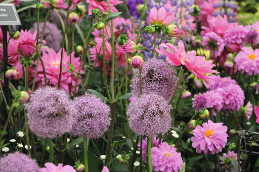 Lemo Gartendesign - Thumbnail