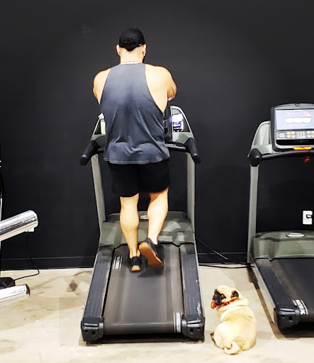 Freedom Gym - Thumbnail