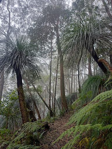 Mount Matheson loop - Thumbnail