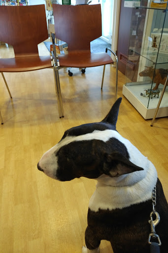 Dierenkliniek Waalre - Thumbnail