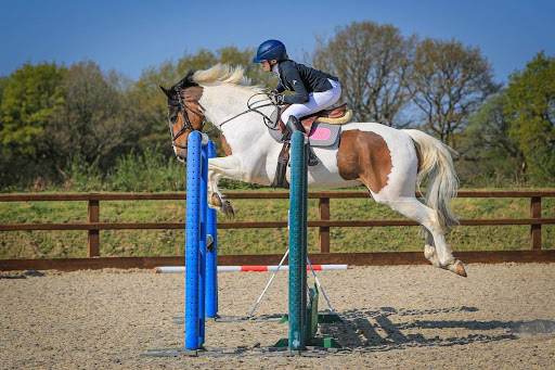 Beacons Equestrian - Thumbnail