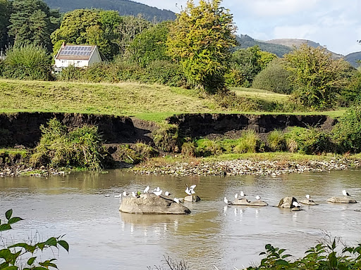 The Taff Trail - Thumbnail