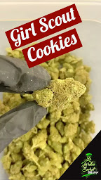 Photo n°9 de Le Jardin Secret à Uzès (Magasin de cannabis)