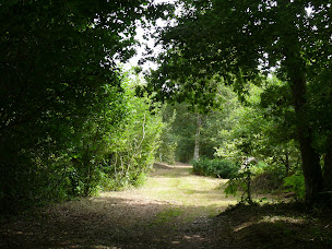 Photo n°41 de Domaine de la Cabane Verte à Moux-en-Morvan (Séminaire)