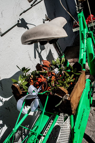 Comentarii opinii despre Ποδηλατόκοσμος