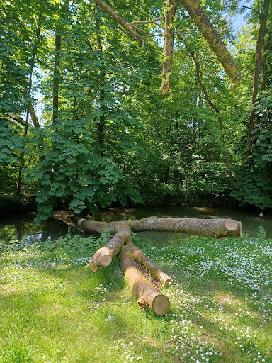 Parc de l'Île de Brunoy - Thumbnail