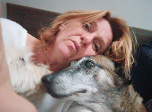 Photo n°6 de Equi Com'Unic à Manziat (Praticien de médecine alternative)