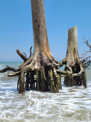 Boneyard Beach Parking - Thumbnail