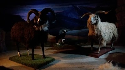Photos of Muzeum Barana