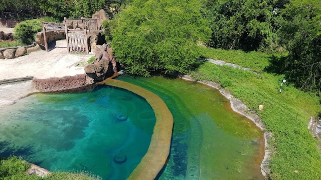 Busch Gardens Tampa Bay