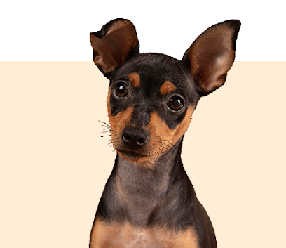 CICAN - Centro Integrado de Cirurgia Animal