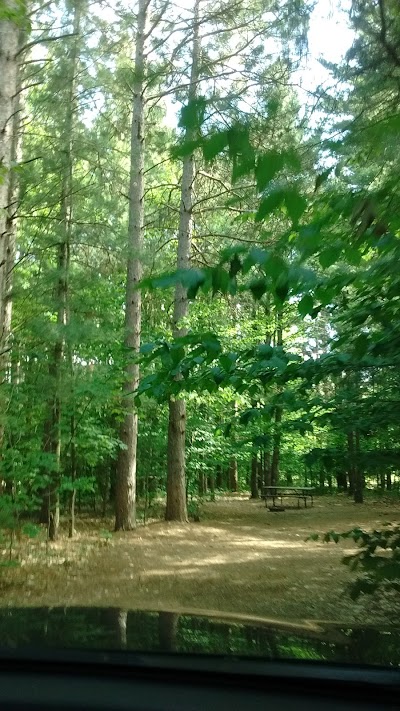 Photos of Empire Township Campground