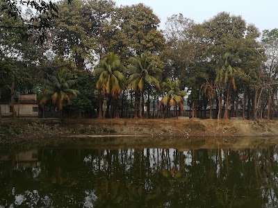 Photos of College pond