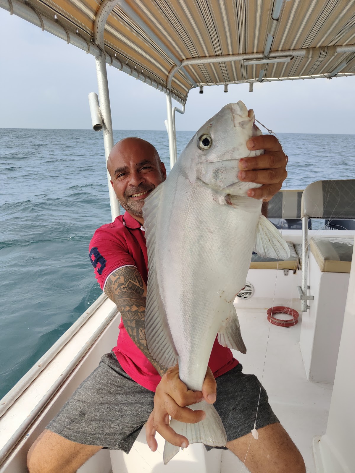 Bluefin Abu ammar for fishing trip ابو عمار لرحلات صيد الأسماك والرحلات البحرية - صورة 5