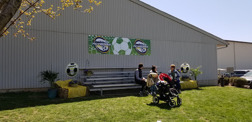 soccer ground - Visual