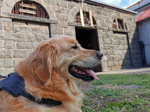Williamstown Morgue - Thumbnail