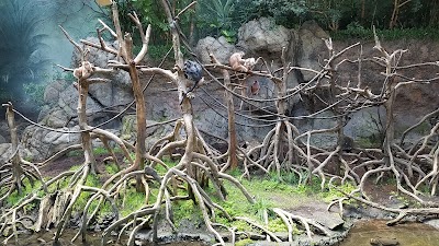 Photos of Jungle World