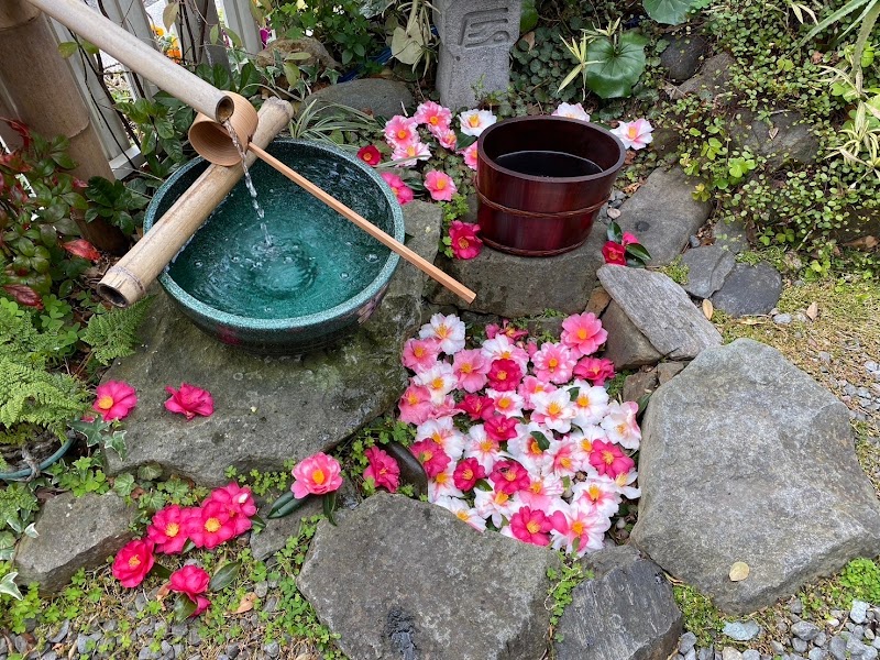 石州流茶道教室 雅心庵 花風 (鳴門怡渓会)