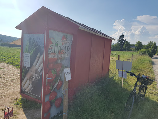 Erdbeerplantage Regensburg - Thumbnail