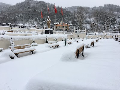 Bozkurt Meslek Yüksekokulu