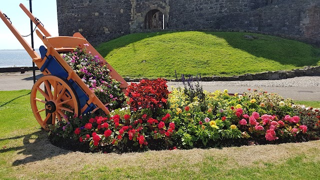 Château de Carrickfergus