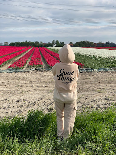 Tulpenfeld Vordorf - Meine - Thumbnail