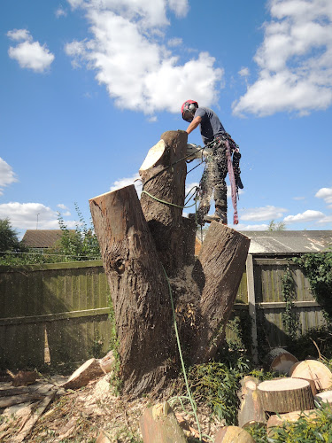 Tendring Tree Surgery
