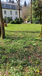 Photo n°6 de La Lande à Pleyber-Christ (Chambre d'hôtes)