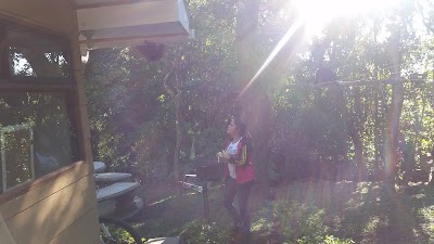 Photos of Dreams Lodge