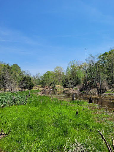 Cedell Brooks, Jr. Park - Thumbnail