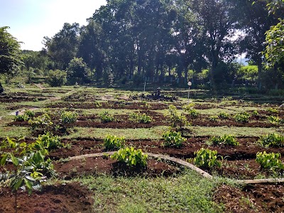 Photos of Kebun Percobaan Sukamulya