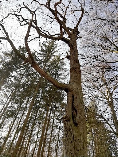 Englen G'häu Gallery - Germany