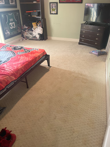 Safe-Dry Carpet Cleaning of Tuscaloosa - Thumbnail