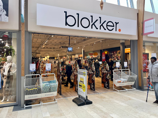 Blokker Delft Troelstralaan - Thumbnail