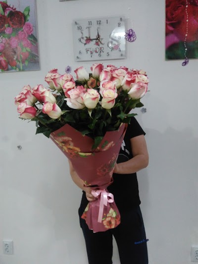 Photos of JS flor