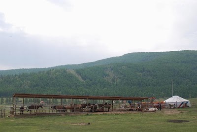 Photos of Terelj Bus Stop