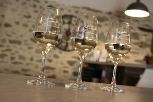 Photo n°8 de Vignoble Jaumouillé à Sèvremoine (Vignoble)