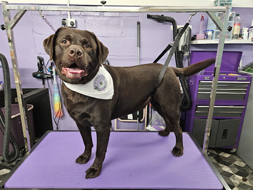 Heather's Hairee Hounds