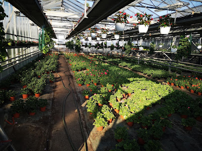 Fleursmasure