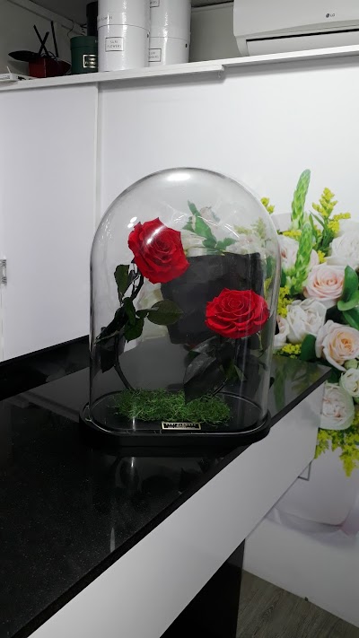Photos of Suri Flowers